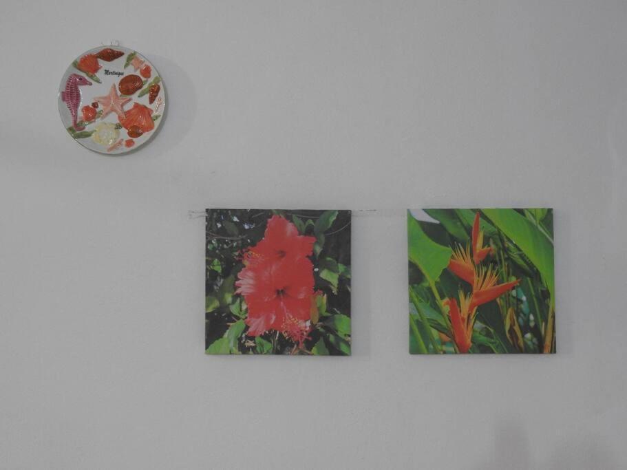 Studio Hibiscus-Ch Vue Sur Mer,Plage,Clim เลส์ อองซ์-ดิอาร์เลส ภายนอก รูปภาพ